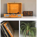 Проигрыватель винила Crosley Cruiser Deluxe Mustard с Bluetooth